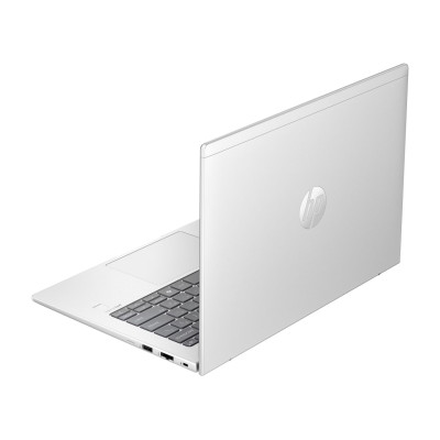 HP ProBook 445 G11 Pike Silver (8Z9P4AV_V1)