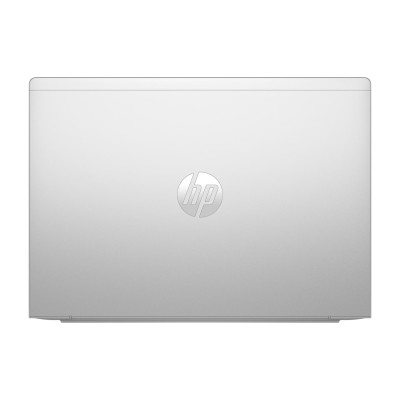HP ProBook 445 G11 Pike Silver (8Z9P4AV_V2)