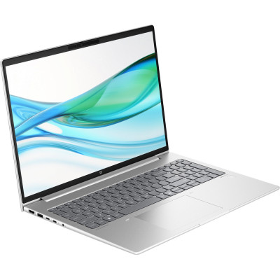 HP ProBook 465 G11 Pike Silver (901H6AV_V2)