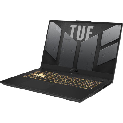 ASUS TUF Gaming F17 FX707VI Mecha Gray (FX707VI-LL100)