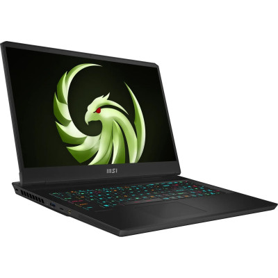 MSI Alpha 17 C7VG (C7VG-031)