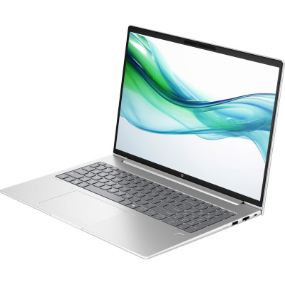 HP ProBook 460 G11 Pike Silver (AD0W4ET)