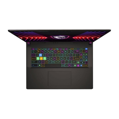 MSI Vector 17 HX A14VIG-1015CZ (9S7-17S162-1015)