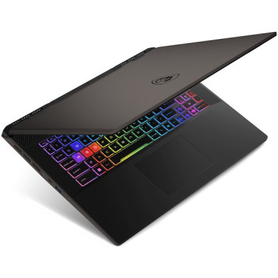 MSI Sword 17 HX B14VGKG (B14VGKG-016XRO)
