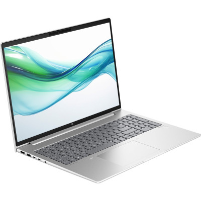 HP ProBook 460 G11 Pike Silver (8Z677AV_V6)