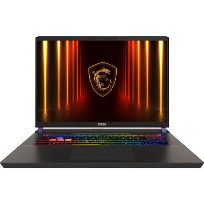 MSI Vector 17 HX AI A2XWIG Cosmos Gray (9S7-17S372-043, A2XWIG-043UA)