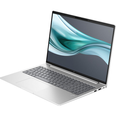 HP EliteBook 660 G11 Silver (A37WVET)