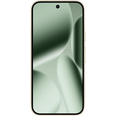 Google Pixel 10 Pro 16/1TB Jade