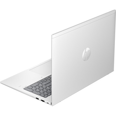 HP ProBook 460 G11 Pike Silver (AD0W6ET)