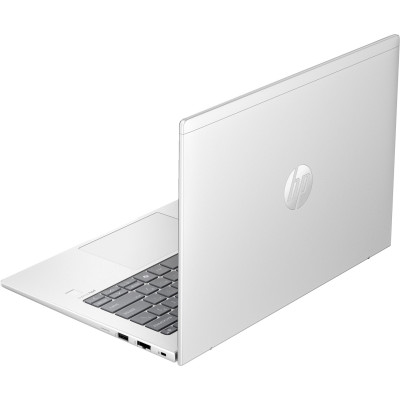 HP ProBook 445 G11 Pike Silver (AD0T5ET)