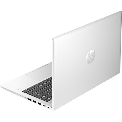 HP ProBook 445 G10 Silver (70Z72AV)