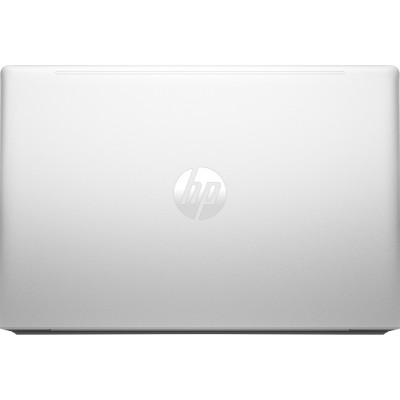HP ProBook 445 G10 Pike Silver (7P3C7UT)