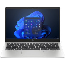 HP 245 G10 Turbo Silver (A23L1EA)