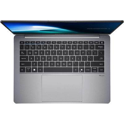 ASUS ExpertBook P5 P5405CSA (P5405CSA-NZ0171)