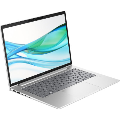HP ProBook 445 G11 Pike Silver (8Z9P8AV_V2)