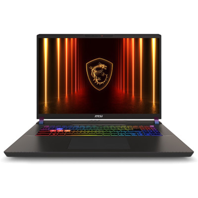 MSI Vector 17 HX AI A2XWIG Cosmos Gray (9S7-17S372-030)