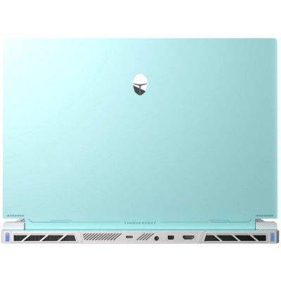 Thunderobot RS16 (RS16-I9139HX56E1Q240ARC)
