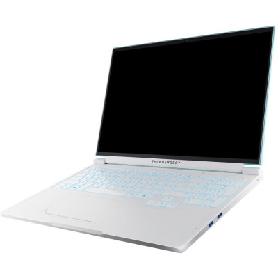 Thunderobot RS16 (RS16-i7136HX56C1Q180RC)