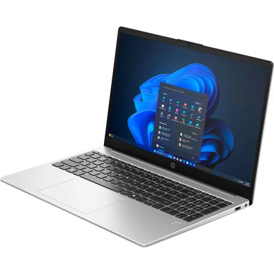 HP 250R G10 Turbo Silver (C78E5AT)