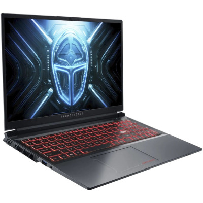 Thunderobot R16 (R16-R97945HX57TE1Q300RG)