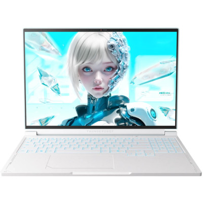 Thunderobot RS16 (RS16-R9985HX57TE1Q240ARC)